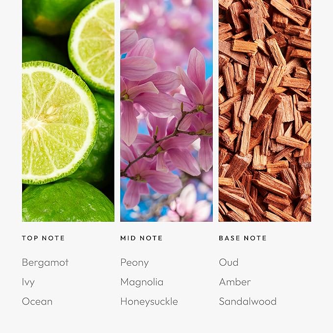 Aroma360 | Disney Under The Sea Pro-Pod Fragrance Oil Blend | The Little Mermaid | Princess Ariel | Luxury Essential Oil | Aromatherapy Scent Diffuser Oil | Bergamot, Ivy and Ocean 1.7 fl oz, 50 mL