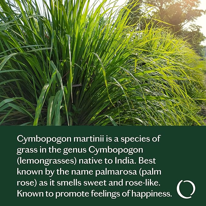 LIVEDROPS 24/7 Good Essential Oil Blend - Bergamot, Palmarosa & Sandalwood – Natural Aromatherapy for Positivity & Focus – Crafted in France by Perfumers – Skin-Safe & Diffuser Compatible