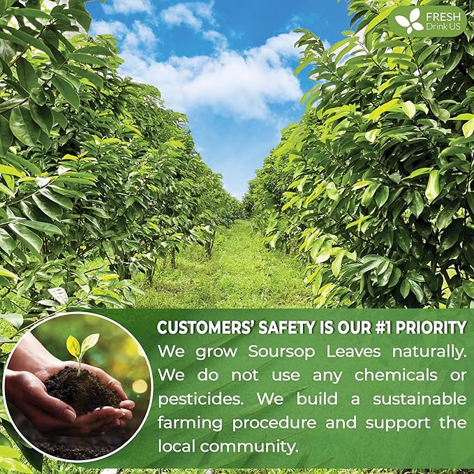 FreshDrinkUS, 105 Premium Soursop Graviola Leaf Tea Bags, The Finest Soursop Tea, 100% Natural and Pure, Handmade, Made With Natural Materials-Corn Fiber Tea Bag, Sugar/ Caffeine/ Gluten Free, Hoja Guanabana Tea