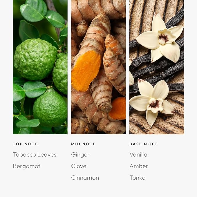 Aroma360 Pro Pod - Fragrance Oil Inspired by Tom Ford Tobacco Vanille - Scent Includes Bergamot, Ginger & Vanilla - Smoke on The Water, 50mL/1.7 fl oz