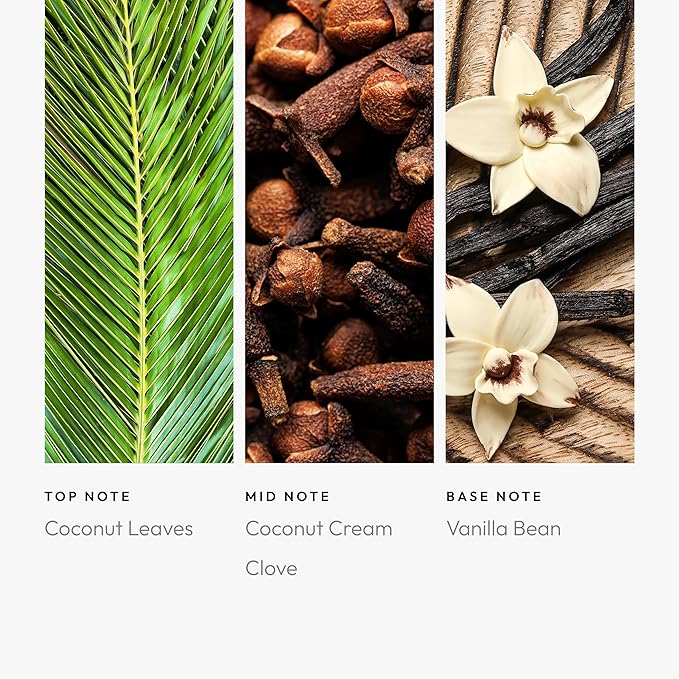 Aroma360 Pro Pod - Fragrance Oil Inspired by Mandala Bay Las Vegas - Scent Includes Coconut, Vanilla & Clove - Beach House, 50mL/1.7 fl oz