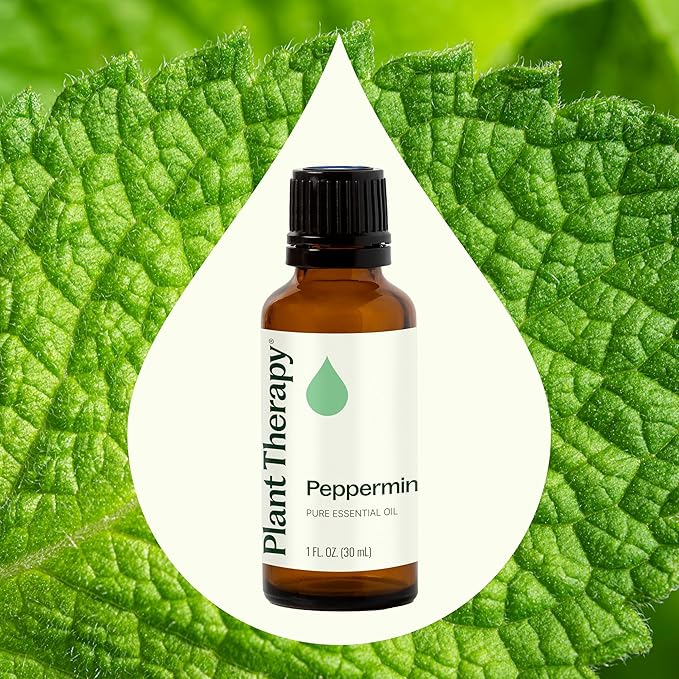 Plant Therapy Peppermint Essential Oil 30 mL (1 oz) 100% Pure, Undiluted, Natural Aromatherapy for Diffuser & Topical Use, Relaxation, Digestion, Respiratory, & Massage, Peppermint Oil for Skin & Hair