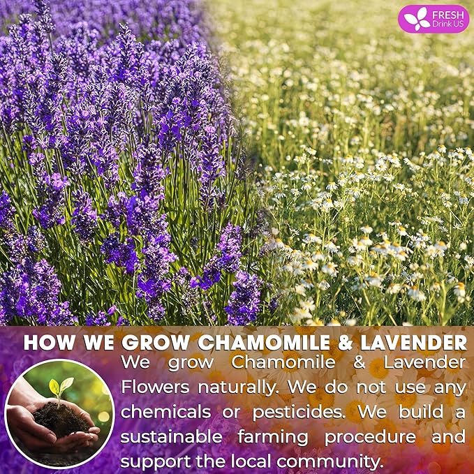 FreshDrinkUS, Premium 60 Chamomile Lavender Tea Bags, 100% Natural Herbal Ingredients, Hand-made Blend of Chamomile Lavender Flowers, Eco-conscious Tea Bags. No Sugar, No Caffeine, No Gluten, Vegan.