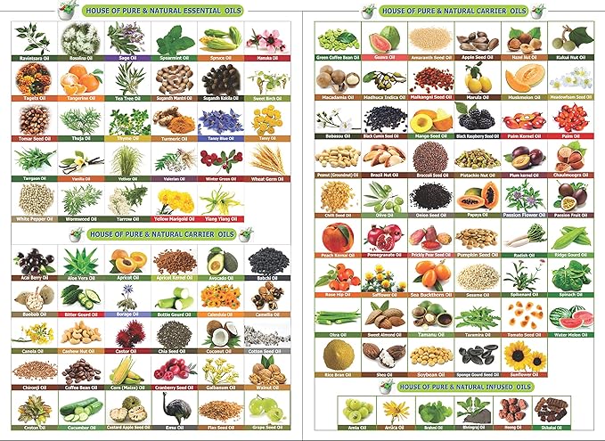 Arnica (Arnica Montana) Therapeutic Essential Oil by Salvia Amber Bottle 100% Natural Uncut Undiluted Pure Cold Pressed Undiluted Aromatherapy Premium Oil (500 ML)